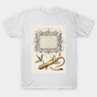 Antique 16th Century Calligraphy with Insects and Lizard T-Shirt